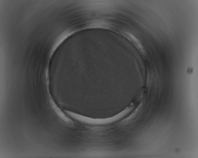 X0000094950796200712131621