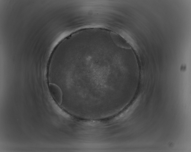 X0000094950797200712131621