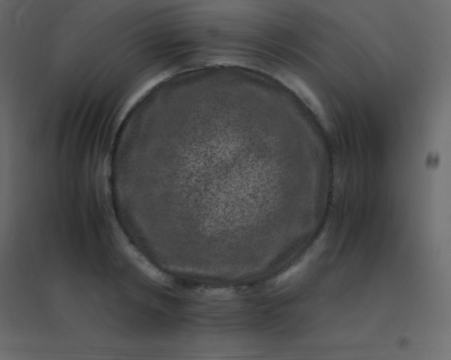 X0000094950798200712131621