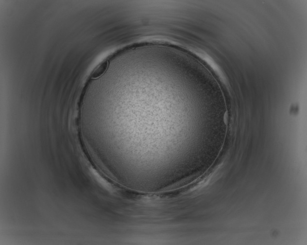 X0000094950799200712131621