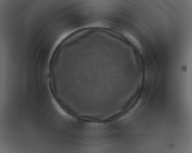 X0000094950800200712131621