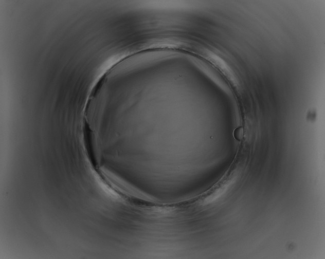 X0000094950802200712131621