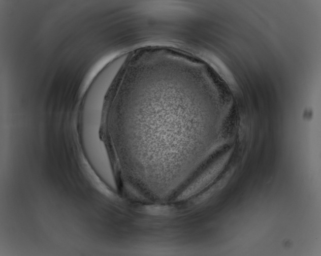 X0000094950804200712131621