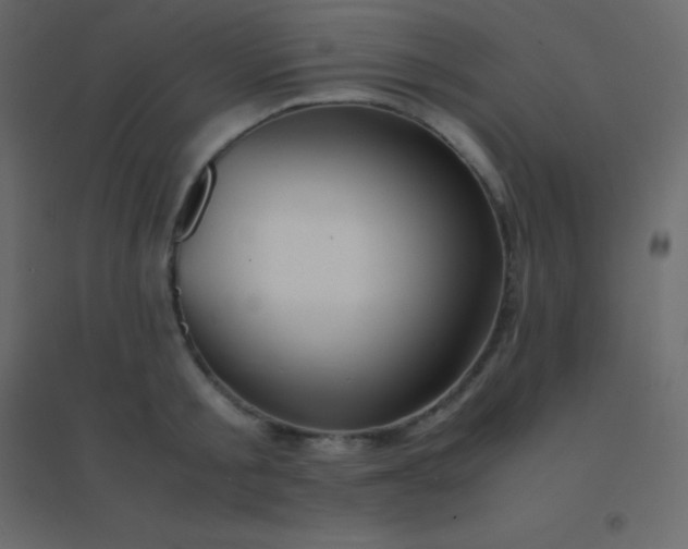 X0000094950805200712131621