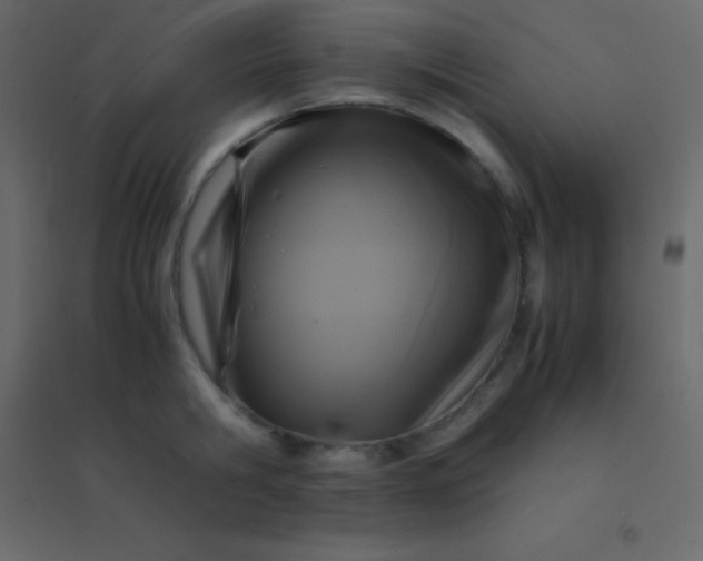 X0000094950806200712131621