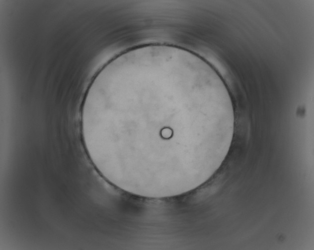 X0000094950807200712131621