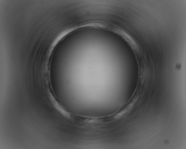 X0000094950808200712131621