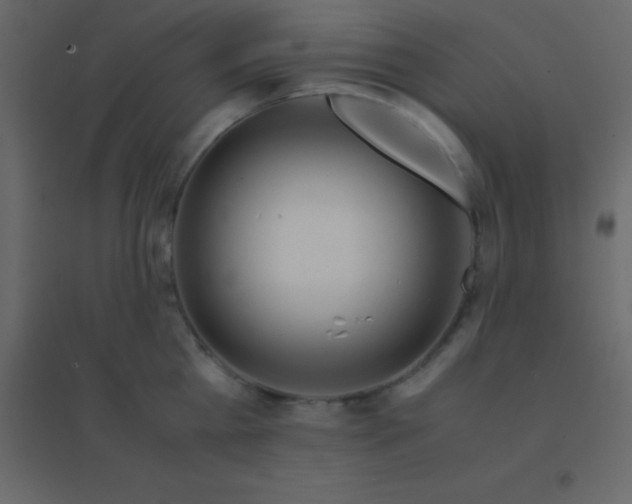 X0000094950809200712131621