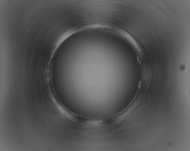 X0000094950810200712131621