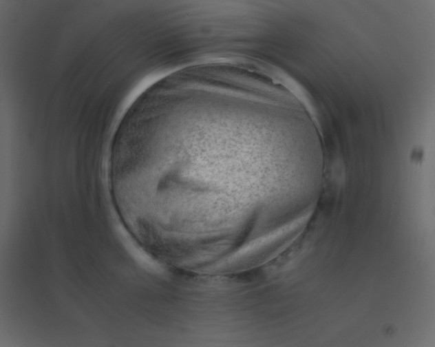 X0000094950811200712131621