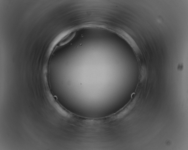 X0000094950812200712131621