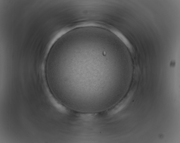 X0000094950813200712131621