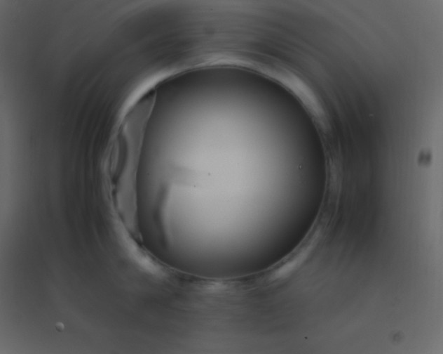 X0000094950814200712131621