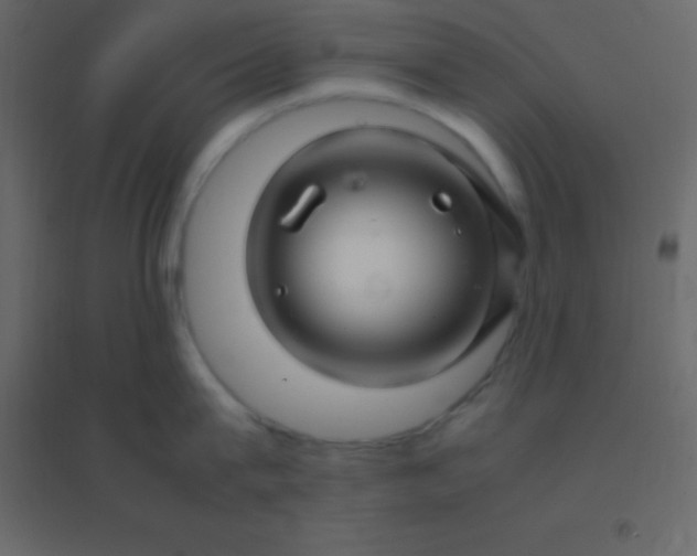 X0000094950815200712131621