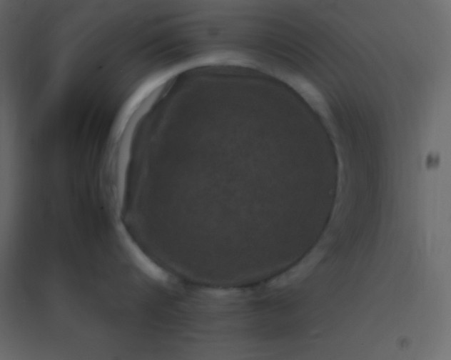 X0000094950816200712131621