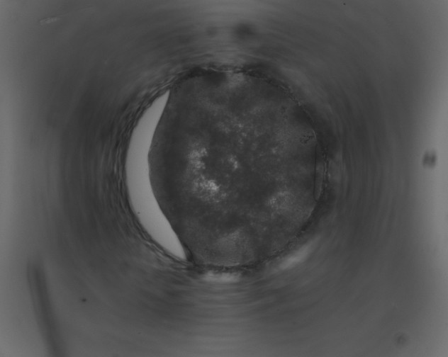 X0000094950818200712131620