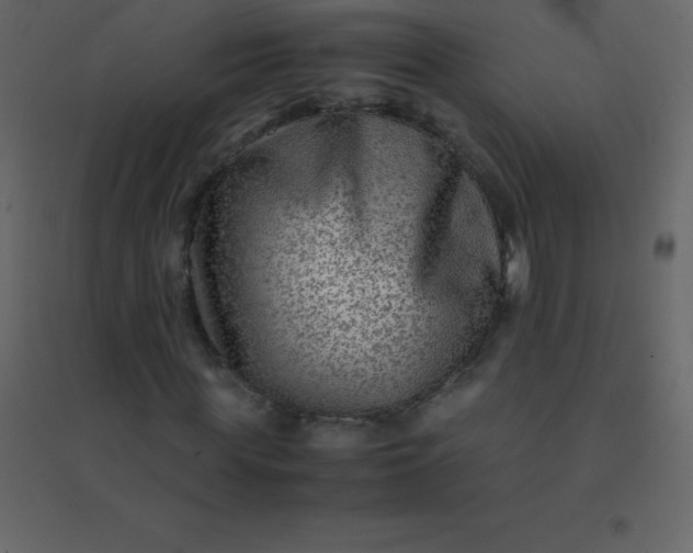 X0000094950819200712131620