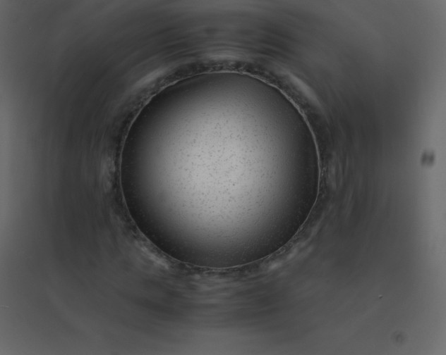 X0000094950821200712131620