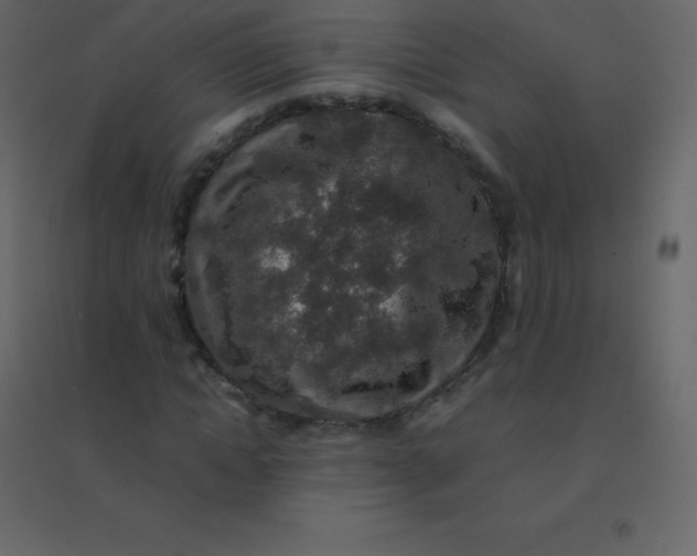 X0000094950822200712131620