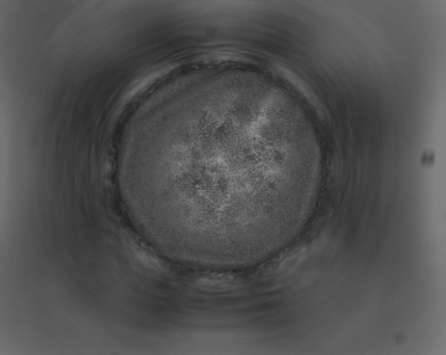 X0000094950823200712131620