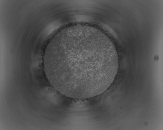 X0000094950824200712131620