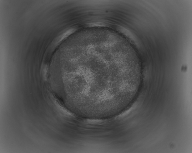 X0000094950825200712131620