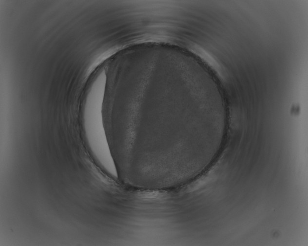 X0000094950826200712131620