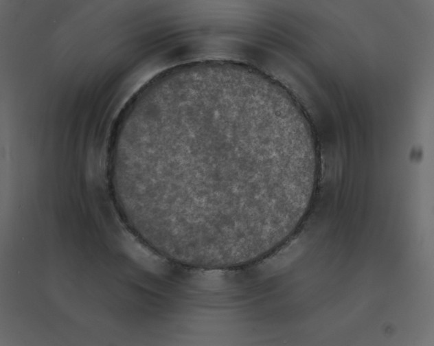 X0000094950828200712131620