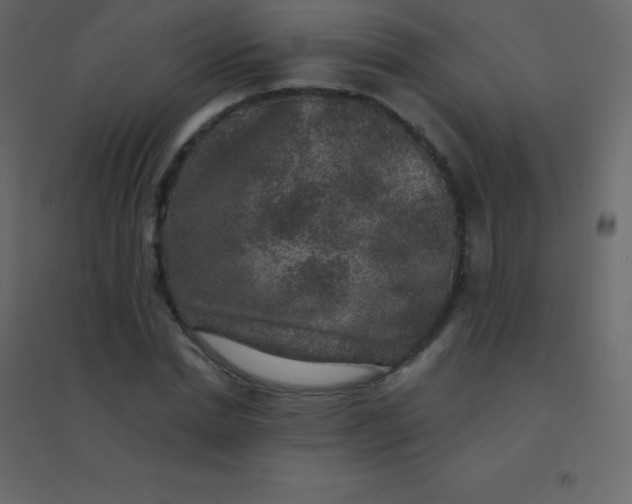 X0000094950830200712131620