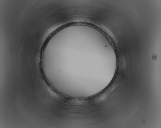 X0000094950831200712131620