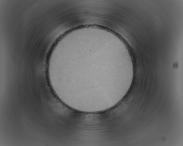 X0000094950832200712131620