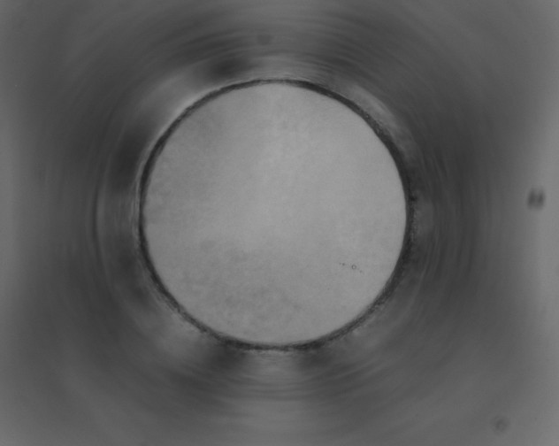 X0000094950836200712131620