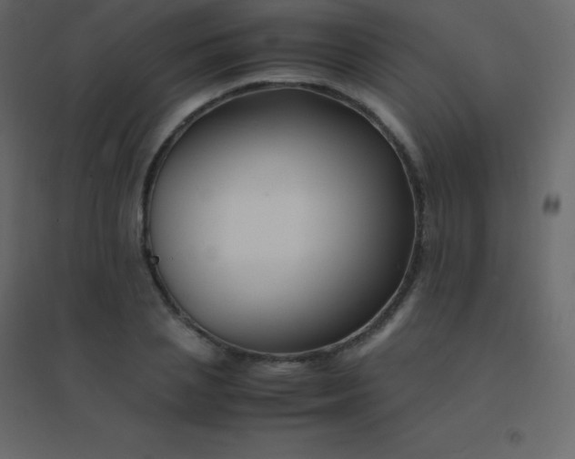 X0000094950837200712131620