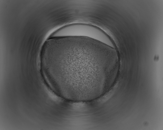 X0000094950838200712131620