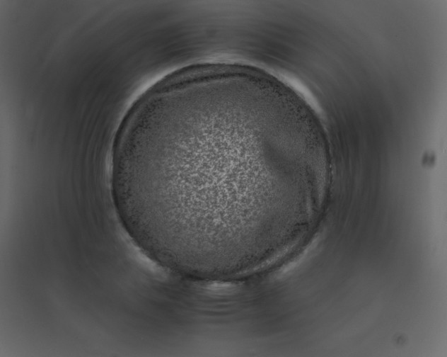 X0000094950839200712131620