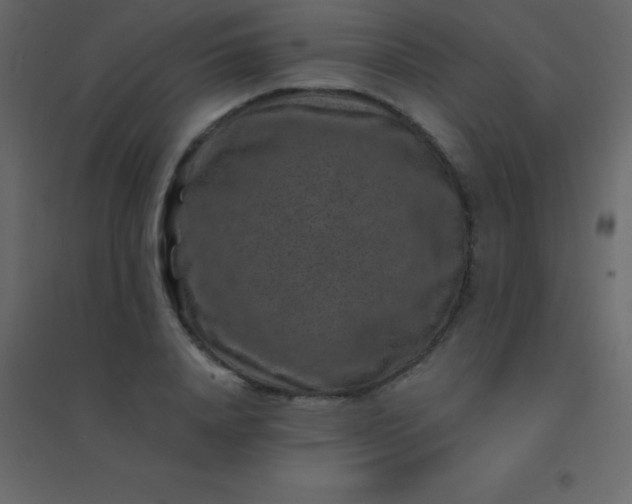 X0000094950840200712131620