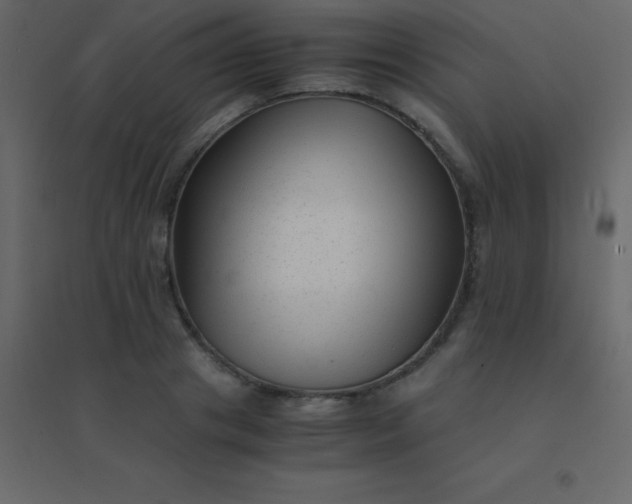 X0000094950841200712131620