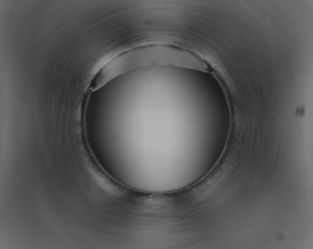 X0000094950842200712131620