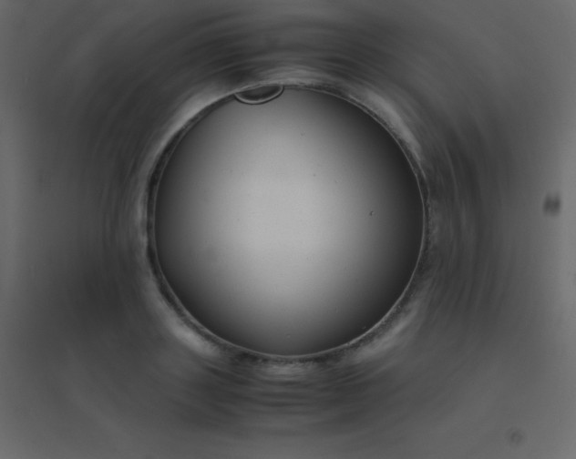 X0000094950843200712131620