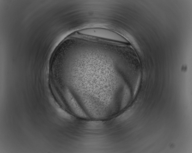 X0000094950844200712131620