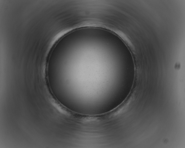 X0000094950846200712131620