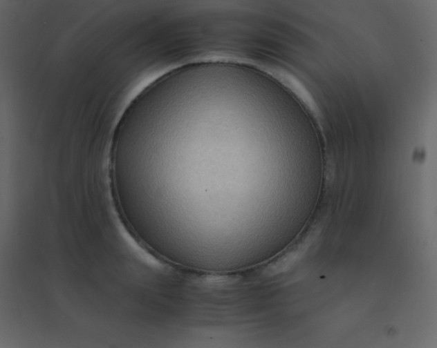 X0000094950847200712131620