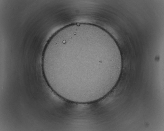 X0000094950848200712131621