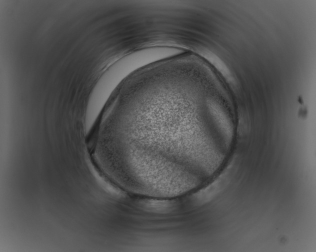 X0000094950849200712131621