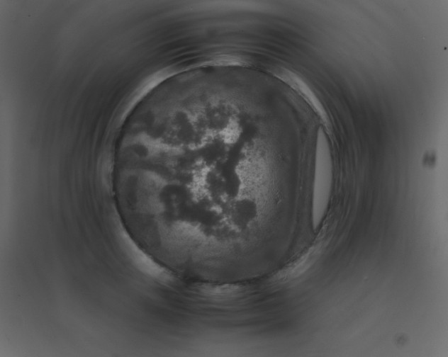 X0000094950851200712131621