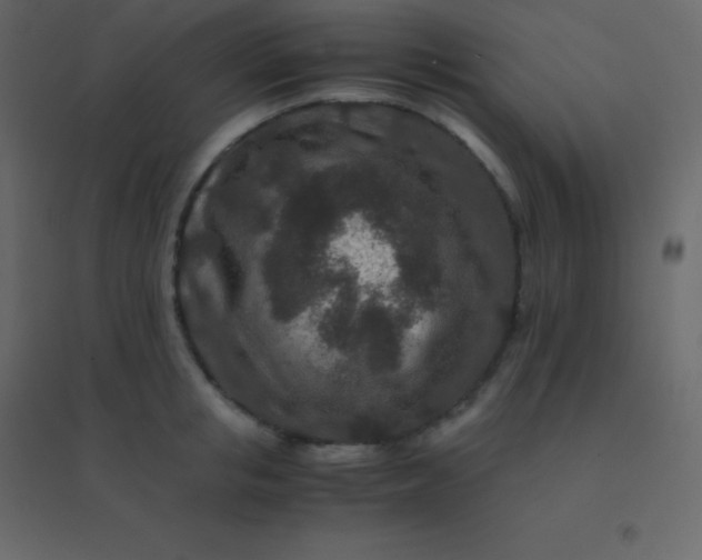 X0000094950853200712131621