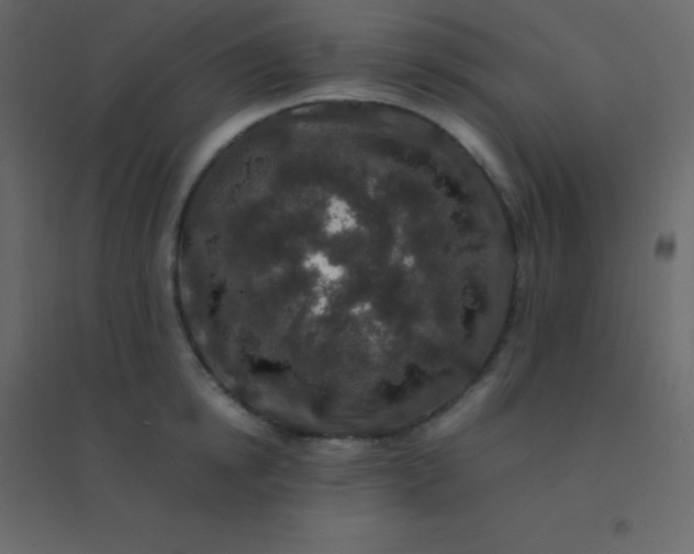 X0000094950854200712131621