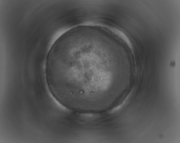 X0000094950855200712131621