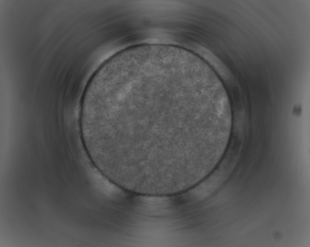 X0000094950856200712131621