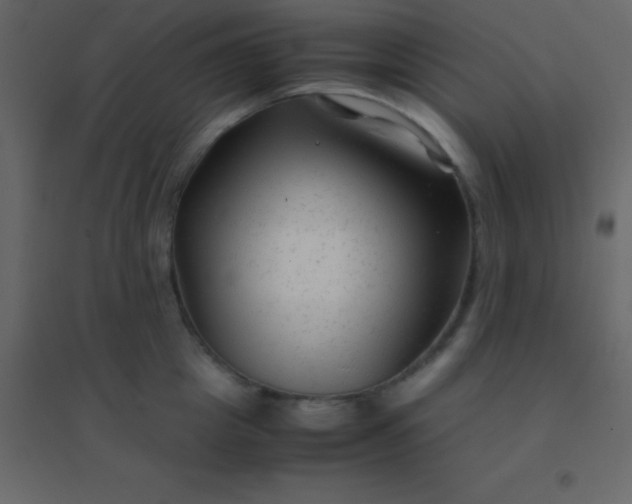 X0000094950857200712131621